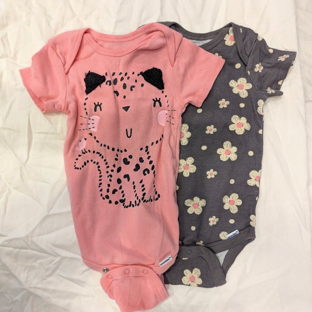 Onesies® by Gerber Pretty Kitty and Floral Bodysuit Duo  (12M)